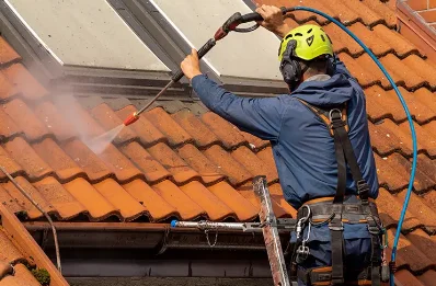 Démoussage et hydrofuge de toiture à Champfromier